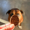 Œufs de Pâques pour chien – Biscuits artisanaux bio 🐣🐶