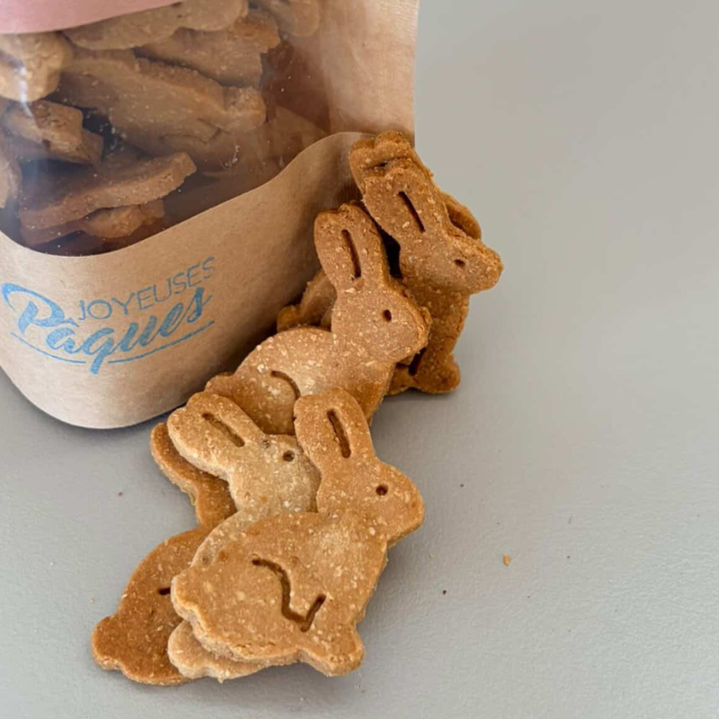 Biscuits de Pâques pour chien – Lapins artisanaux bio 🐰