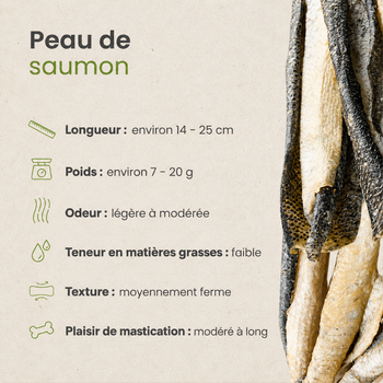 🟢 Peaux de saumon séchées