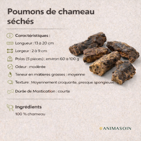 🐪 Poumon de chameau séchée - facile à mâcher