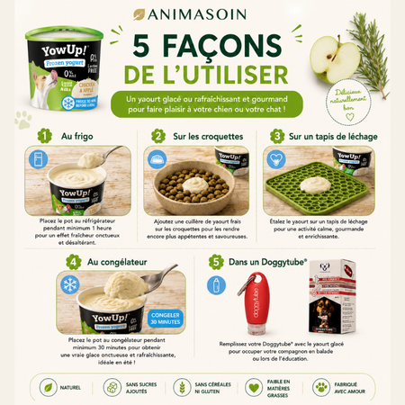 Yaourt glacé poulet & pomme pour chien et chat