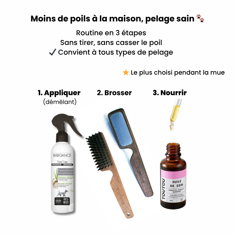 Routine anti-mue du printemps – moins de poils, pelage sain