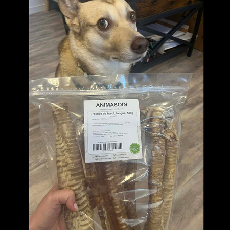 🟠 Trachées de boeuf pour chien - 15 ou 30 cm