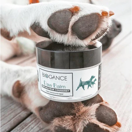 ❄️ Coffret Hiver – Pattes Heureuses 🐾✨