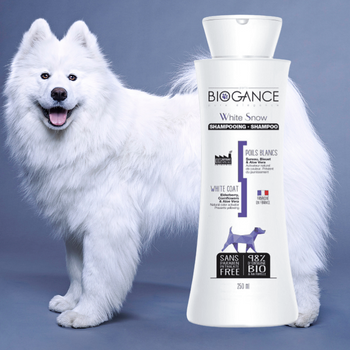 Shampoing pelage blanc pour chien 🐶