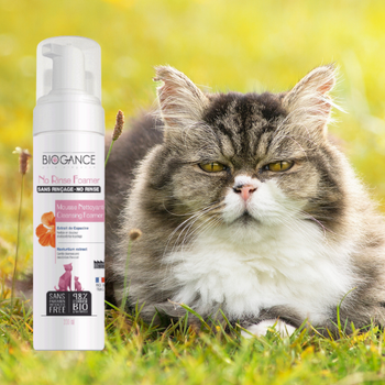 Mousse nettoyante sans rinçage pour chat