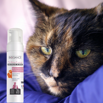 Mousse nettoyante sans rinçage pour chat