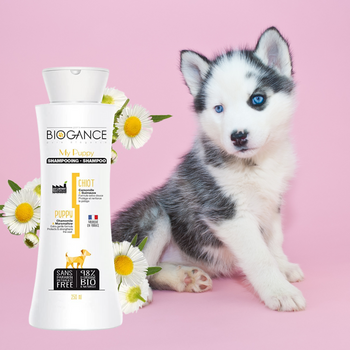 Shampoing bio pour chiot Biogance
