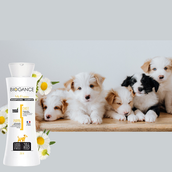 Shampoing bio pour chiot Biogance