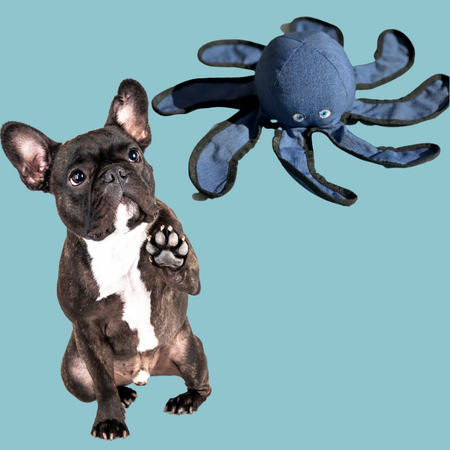 Jouet peluche Octopus qui crépite pour chien