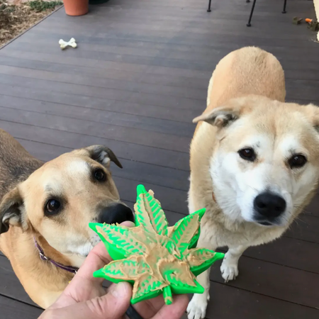 Jeu de léchage feuille d'érable pour chien (en nylon solide)