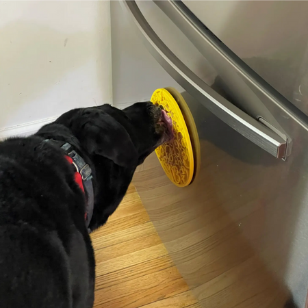 Tapis de léchage à ventouse (2 modèles) - Arbre de vie 🌳  ou Canard 🦆