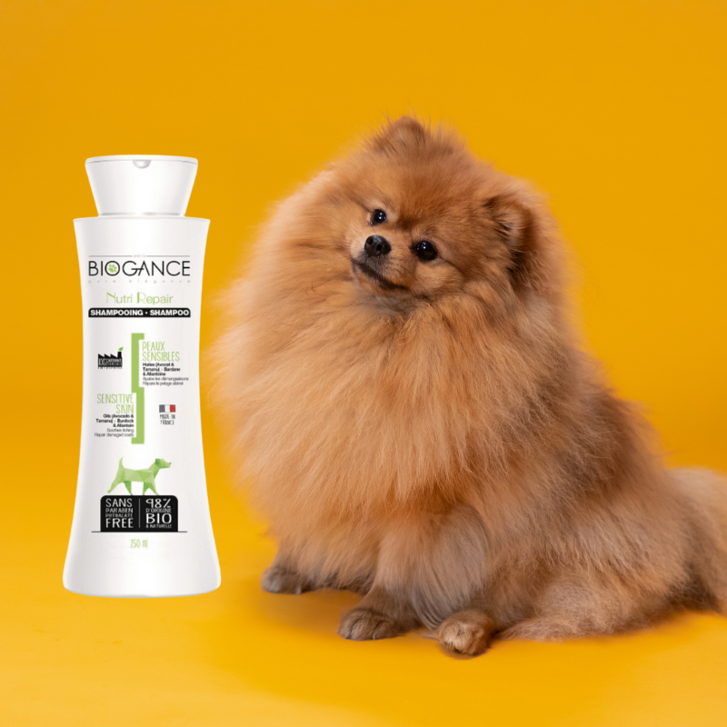 Shampoing pour chien à peau sensible Nutri Repair