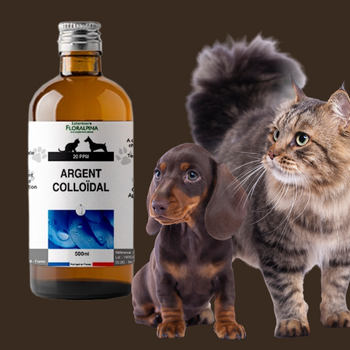 Argent Colloïdal - Antiseptique naturel Chiens & Chats