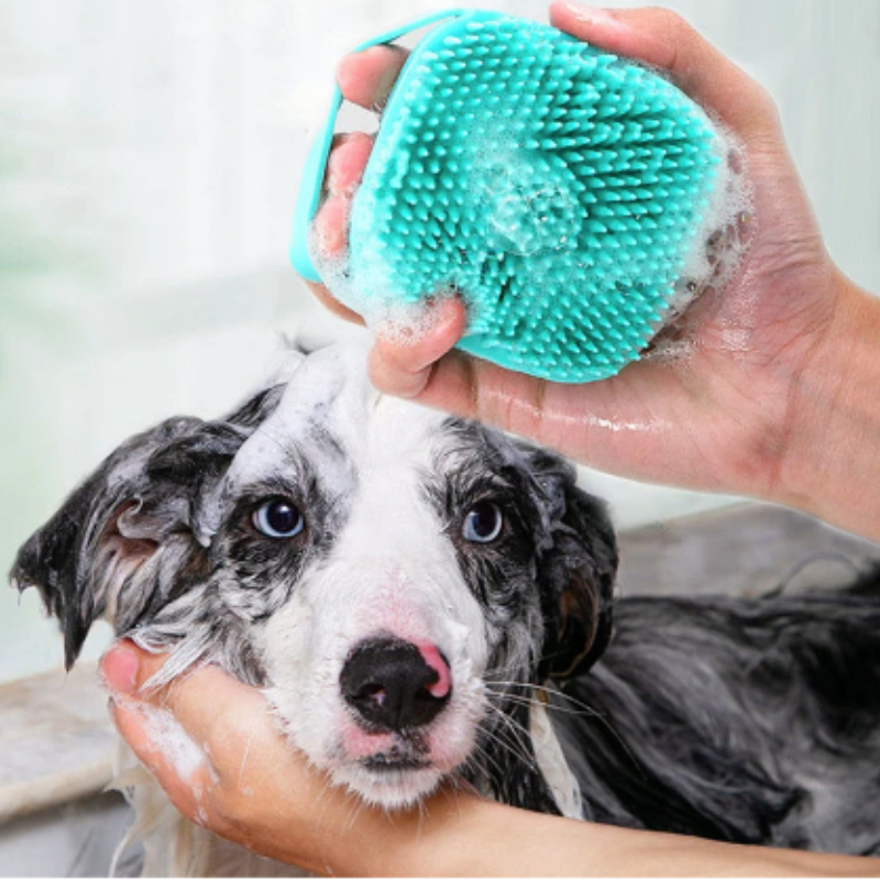 Brosse de bain pour chien ou chat