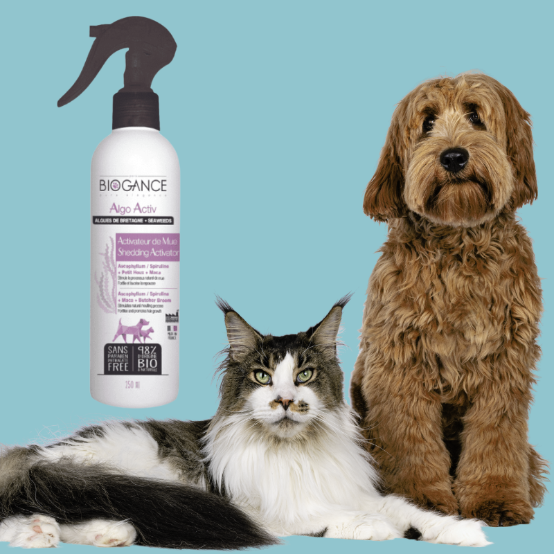 Spray activateur de mue pour chien et chat