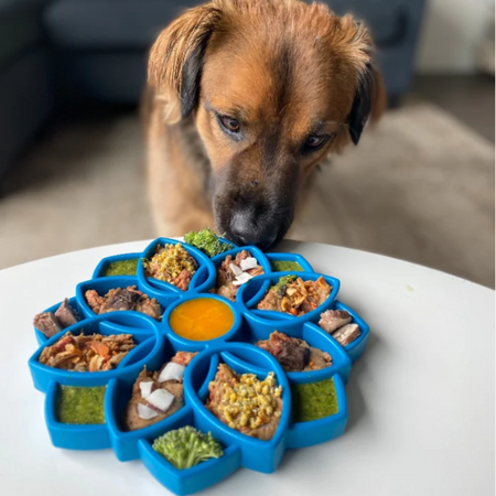 Plateau antiglouton Mandala pour chiens/chats (5 couleurs)