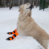 Chaussons de protection (été&hiver) pour chiens