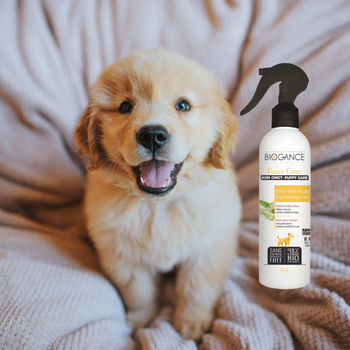 Lotion sans rinçage pour chiot (à partir de 3 mois)