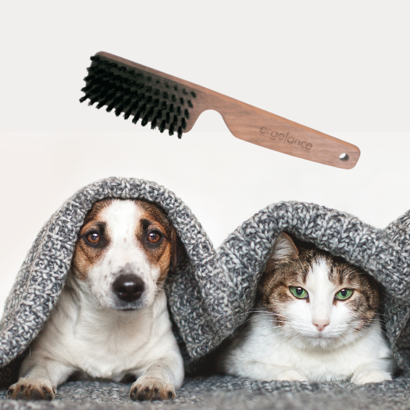 Brosse chien& chat à poils courts