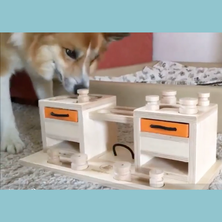 Cool free homemade dog puzzle!  Jeu chien, Jouet chien, Jeux d intelligence