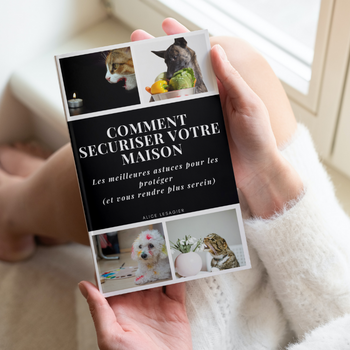 Le Guide Sécurisez votre Maison en format numérique