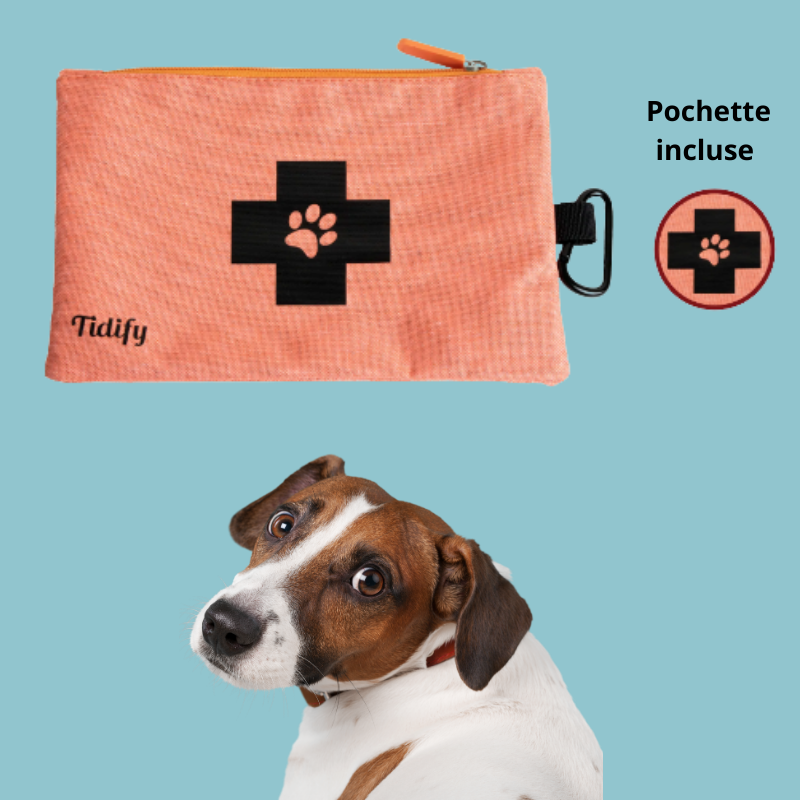 Accessoires pour chien pour les voyages